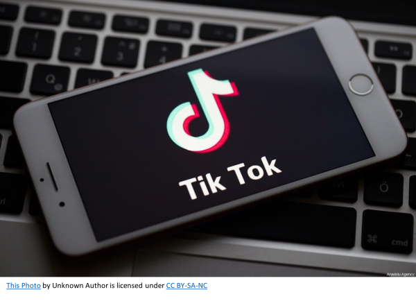Image for event: TikTok Basics